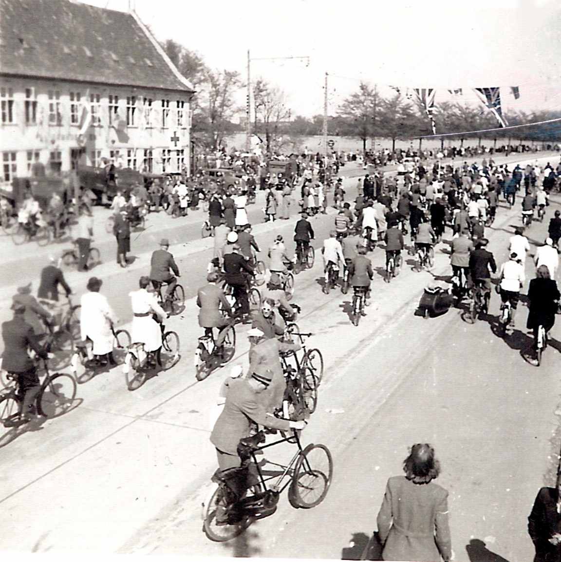 Dines Bogø