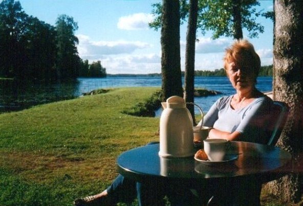 solviken solviken